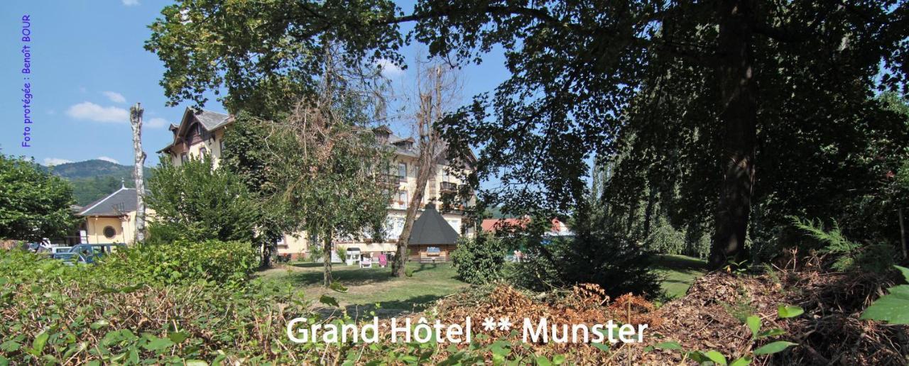 Brit Hotel Grand Hotel Munster Мюнстер Екстериор снимка
